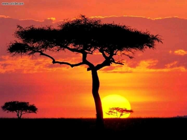 Ilkerin Camp Maasai Mara Bed & Breakfast Sekenani Luaran gambar