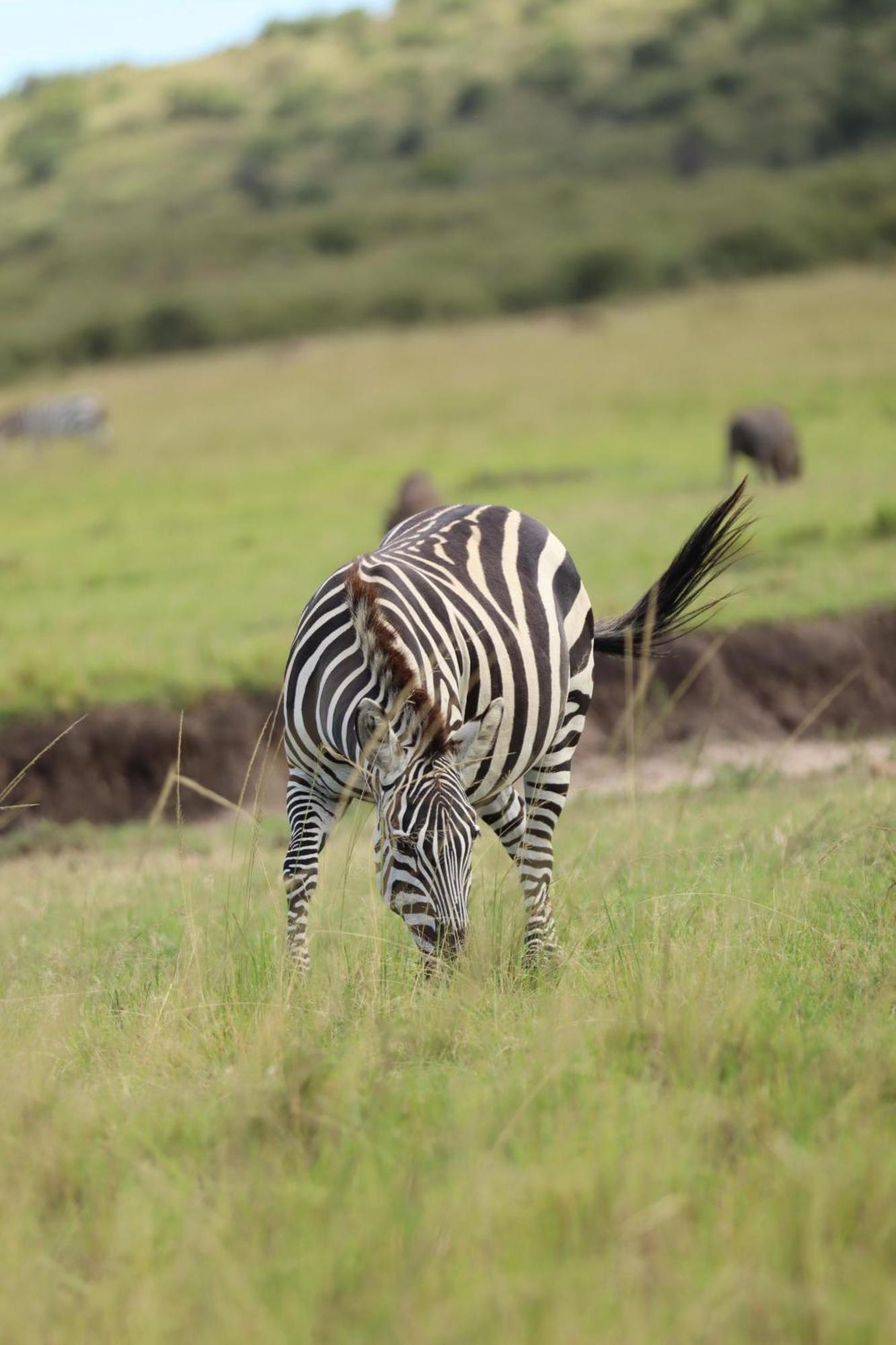 Ilkerin Camp Maasai Mara Bed & Breakfast Sekenani Luaran gambar